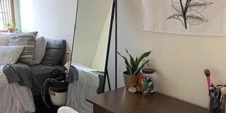 NO FEE on this Affordable Mission Hill Gem!  Sunny & Spacious, Great for NEU students!  Parking Avail Gallery 7