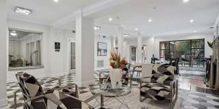 Carrara at Cole Gallery 34