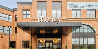 The Ivy Gallery 3