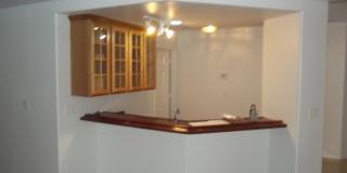 Swimming pool and spa Gallery 9