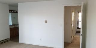 4B/2B Home with Attached Garage in Longmont Ready for June! Gallery 51
