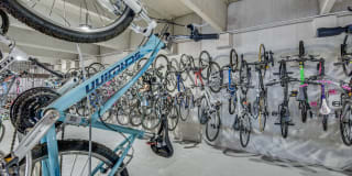 Windsor at West University Gallery 34