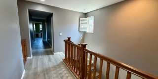 2297 Treetop Lane Gallery 14