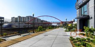 The Emery Gallery 100