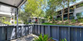 Lake Pointe Apartments Gallery 19