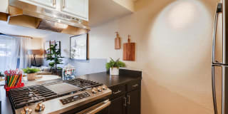 Scottsdale Gateway Gallery 8