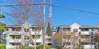 1bedroom in quiet residential setting. W/D in unit 1bedroom in quiet residential setting. W/D in unit Gallery 1