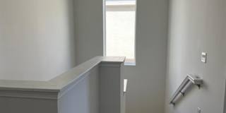 6836 Trellis Vine Loop Gallery 55