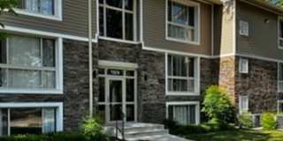 Harpers Forest Gallery 13