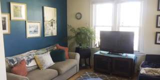 733 Elm St. Gallery 4