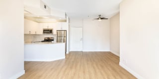 Academy Village Gallery 6