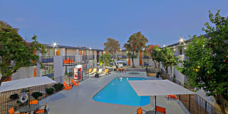 Allora Phoenix Gallery 20