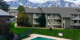 CHARMING 2 Bed 2 Bath Condo in Boulder - Available August 7th! CHARMING 2 Bed 2 Bath Condo in Boulder - Available August 7th! Gallery 14
