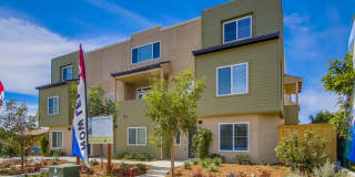 307 Sycamore Road Gallery 1