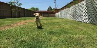 Eleven60 Apartments Gallery 32