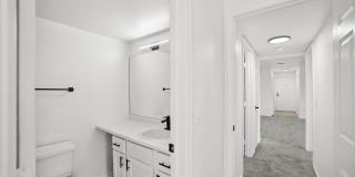 ReNew Woodland North and South Gallery 9