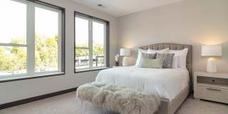 Ventana Gallery 55