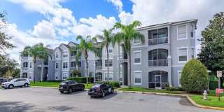 8100 PRINCESS PALM Lane 8100 PRINCESS PALM Lane Gallery 1