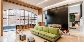 250 Gorge Road Gallery 19