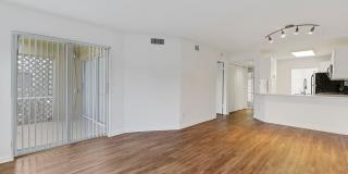 Boca Arbor Club Gallery 33