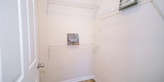 Pine Lake Gallery 34