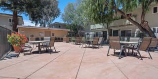 Spring Valley Gallery 8
