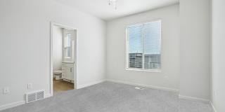 Carrington Square Gallery 75