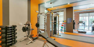 The Mark at Midtown Gallery 15