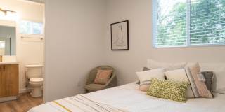 Hollywood Hills, tree lined street, perfect Mid-Century Modern homes Gallery 11