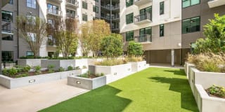 Arya Peachtree Gallery 22