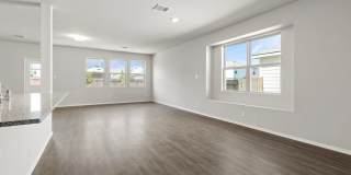 2434 Dry Moss Gallery 8
