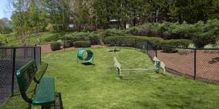 The Preserve at Brentwood Gallery 33
