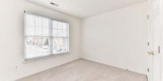 21759 LADYSLIPPER Square Gallery 16