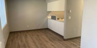 P14616 Gallery 10