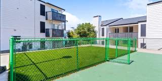 Tides at Royal Lane South Tides at Royal Lane South Gallery 24