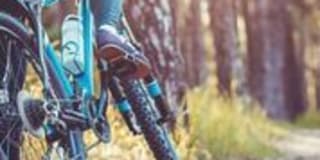 Park Kiely Gallery 20