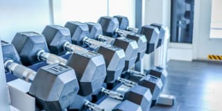 The Mercer Gallery 42