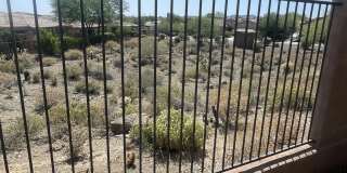 41831 N MILL CREEK Way Gallery 13