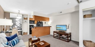 TGM Avalon Lake Gallery 3