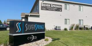 Silver Springs Gallery 1
