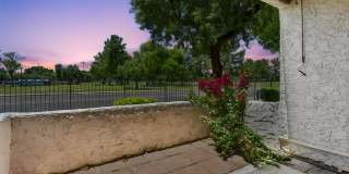 4444 E Paradise Valley Pkwy #129 Gallery 20