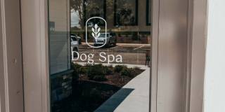 Sage North Gallery 12