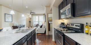 Dolce Living Rosenberg Gallery 19