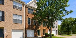 45556 LAKE HAVEN Terrace Gallery 1