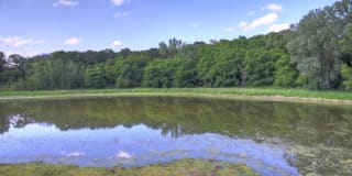 Lakewood Hills Gallery 11