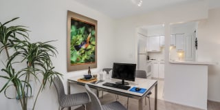 Saddle Creek Apartments Gallery 25