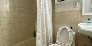 Charming 2 Bedroom-No Broker Fee Gallery 8