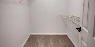 Eagle Chase Gallery 18