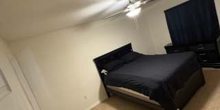 Charming 3BR House in Tampa Gallery 4