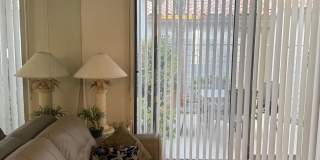 55456 Firestone Gallery 8